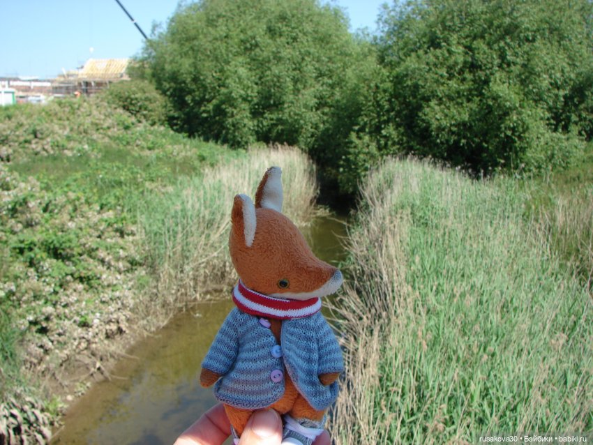 Прогулка моих бабаек в новом парке