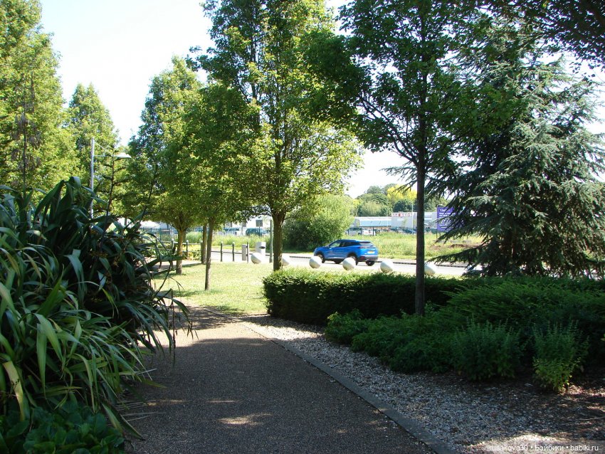 Прогулка моих бабаек в новом парке (фото 9)