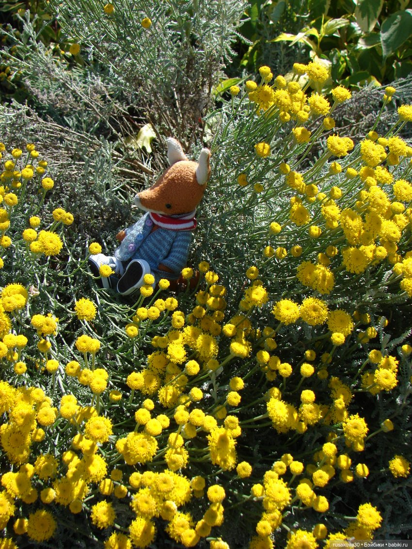 Прогулка моих бабаек в новом парке