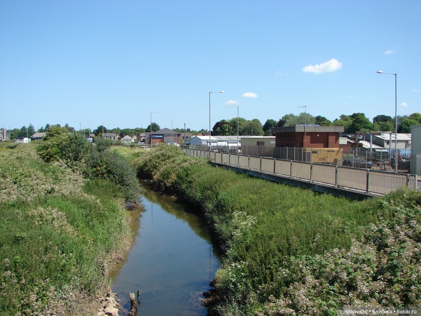 Прогулка моих бабаек в новом парке