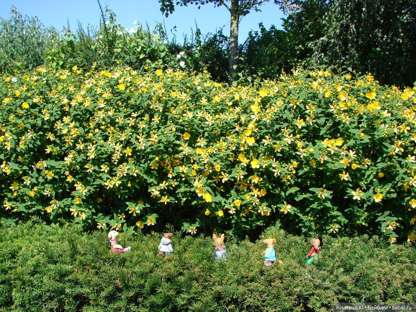 Прогулка моих бабаек в новом парке (фото 8)