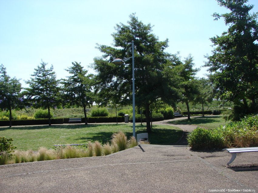 Прогулка моих бабаек в новом парке