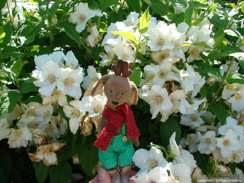 Прогулка моих бабаек в новом парке