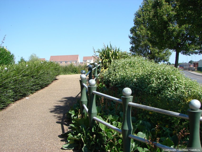 Прогулка моих бабаек в новом парке (фото 4)