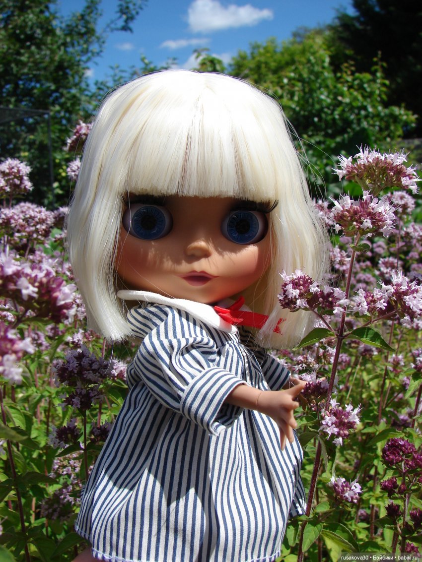 Никогда не говори - никогда