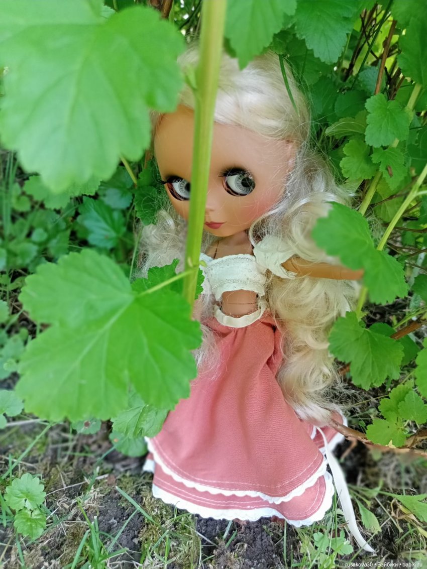 Никогда не говори - никогда