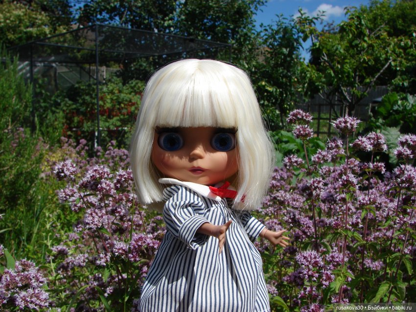 Никогда не говори - никогда