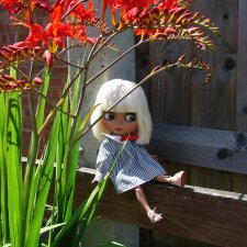 Никогда не говори - никогда...