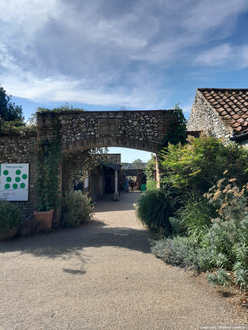 Как Басики по птичьему заповеднику гуляли (фото 5)