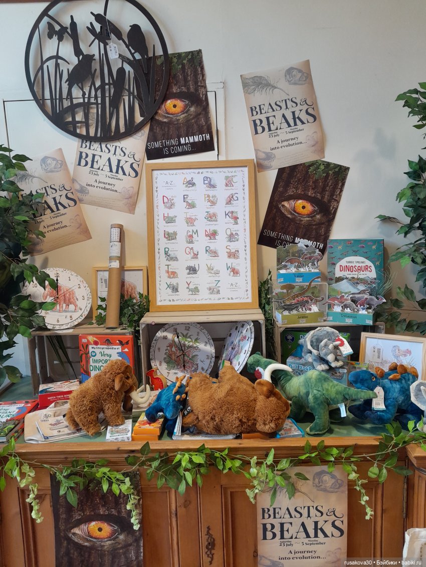 Как Басики по птичьему заповеднику гуляли (фото 7)