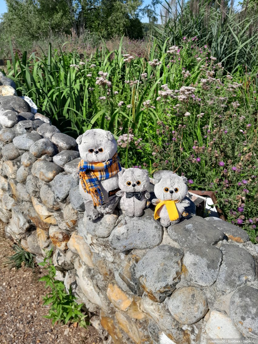 Как Басики по птичьему заповеднику гуляли (фото 10)