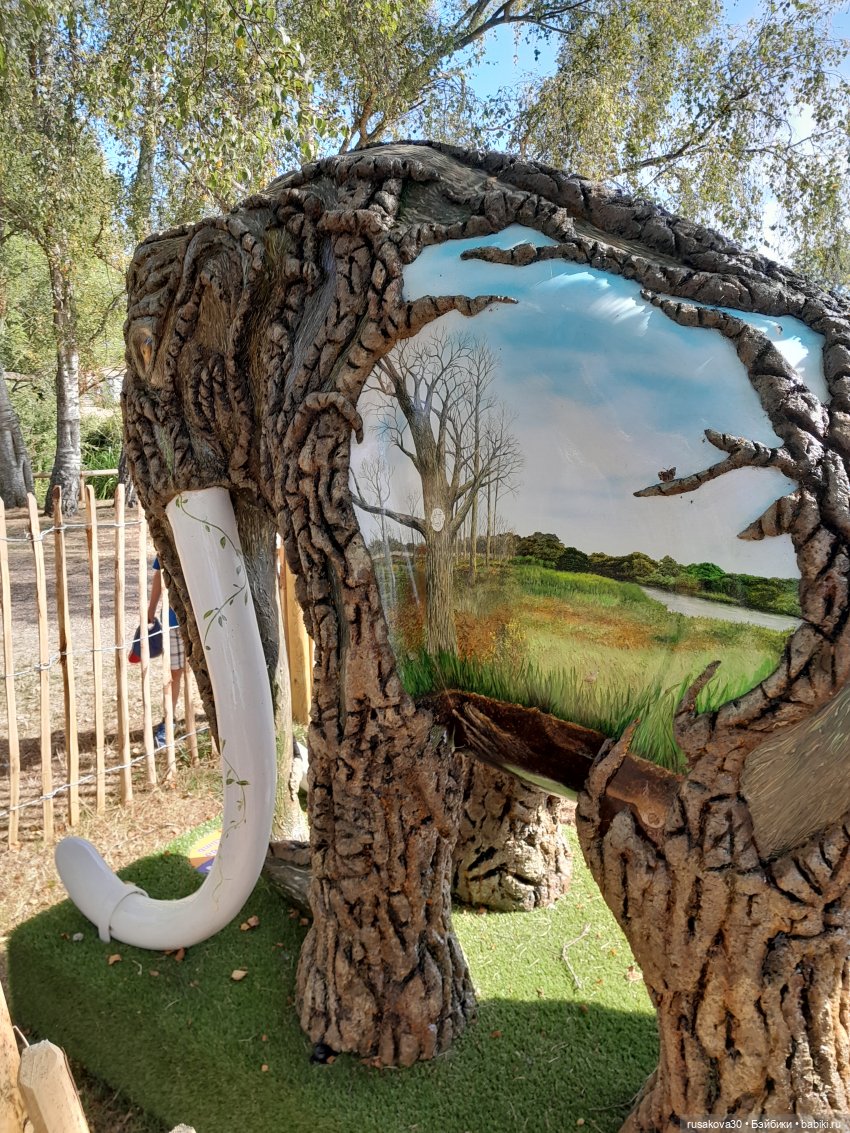 Как Басики по птичьему заповеднику гуляли (фото 4)