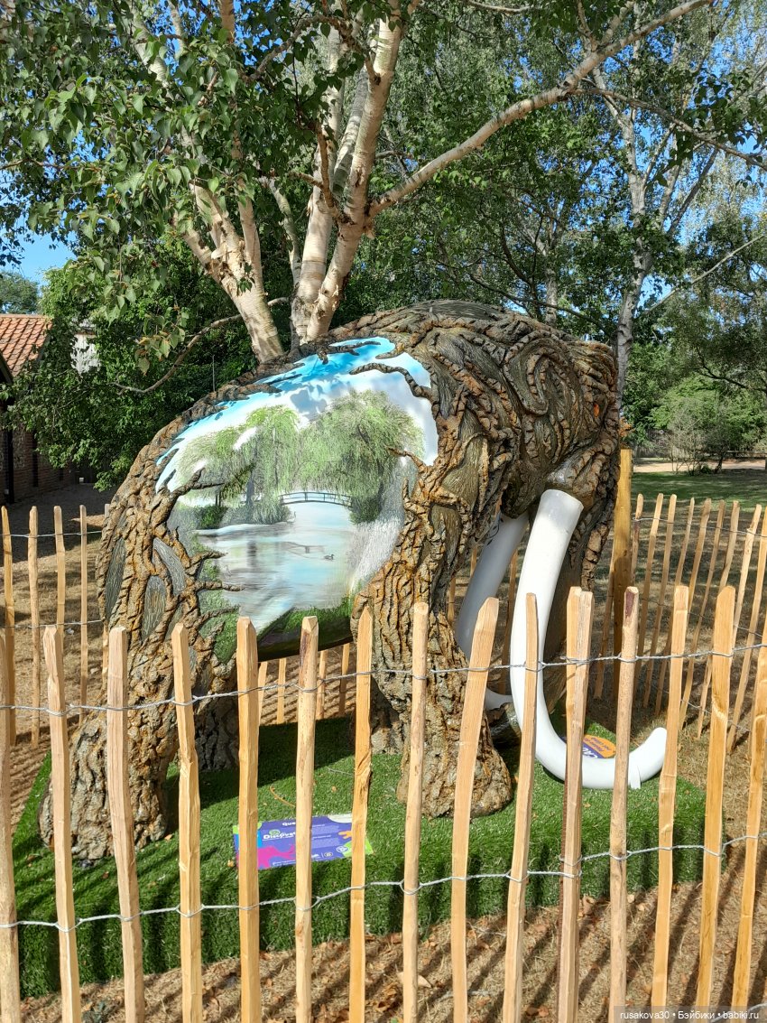 Как Басики по птичьему заповеднику гуляли (фото 3)