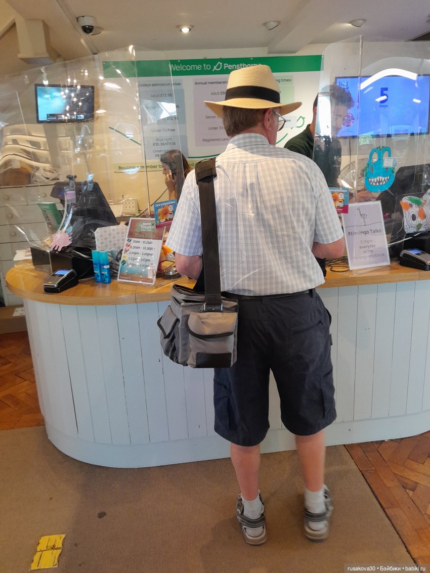 Как Басики по птичьему заповеднику гуляли (фото 6)