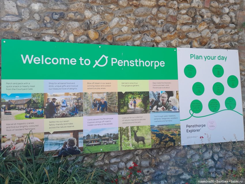 Как Басики по птичьему заповеднику гуляли (фото 2)