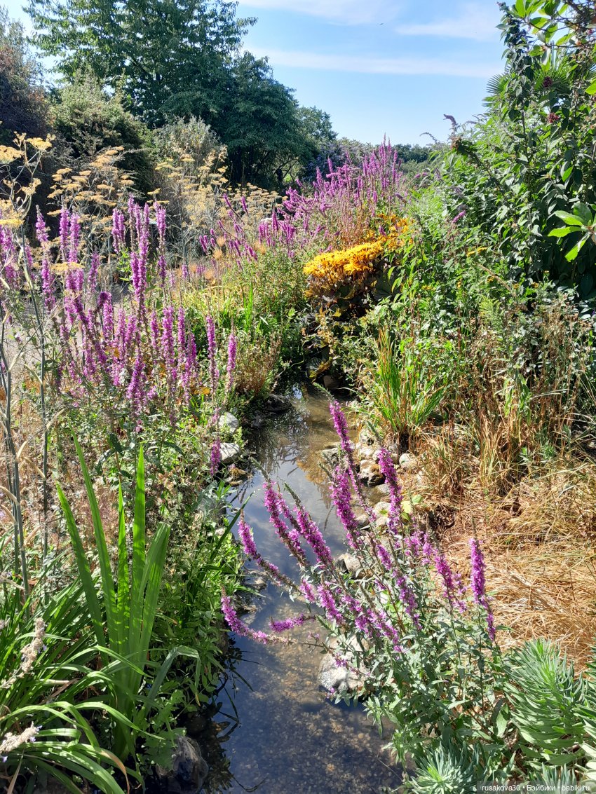 Как Басики по птичьему заповеднику гуляли (фото 9)