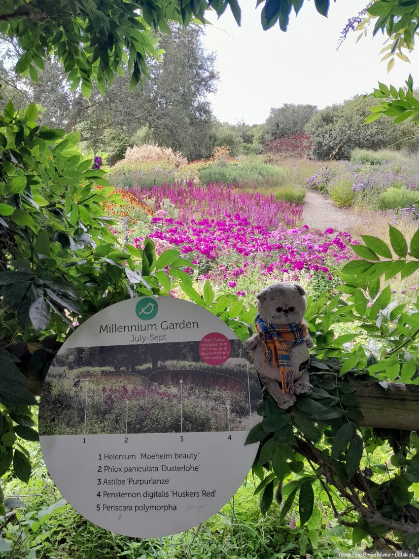 Как Басики по птичьему заповеднику гуляли