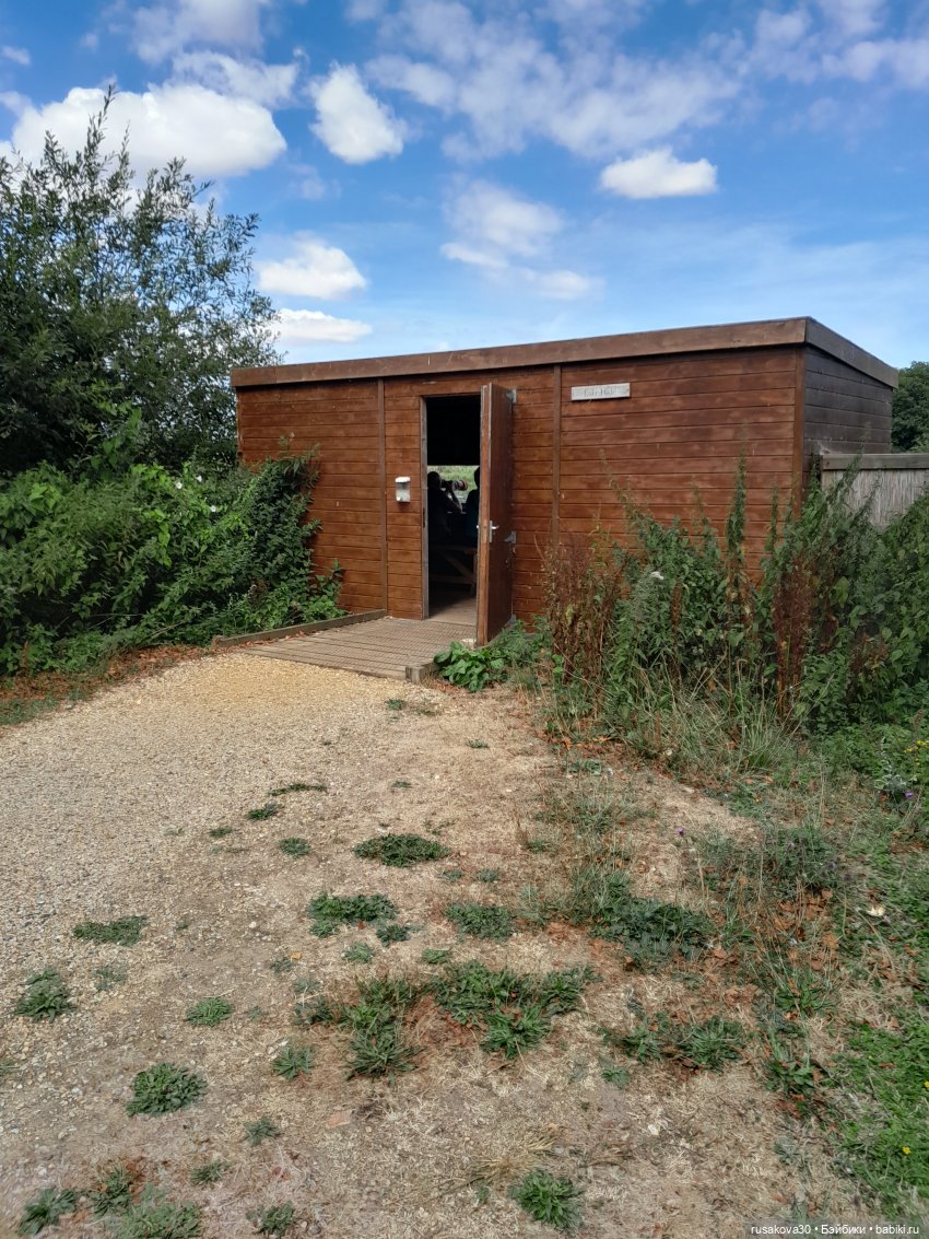 Как Басики по птичьему заповеднику гуляли