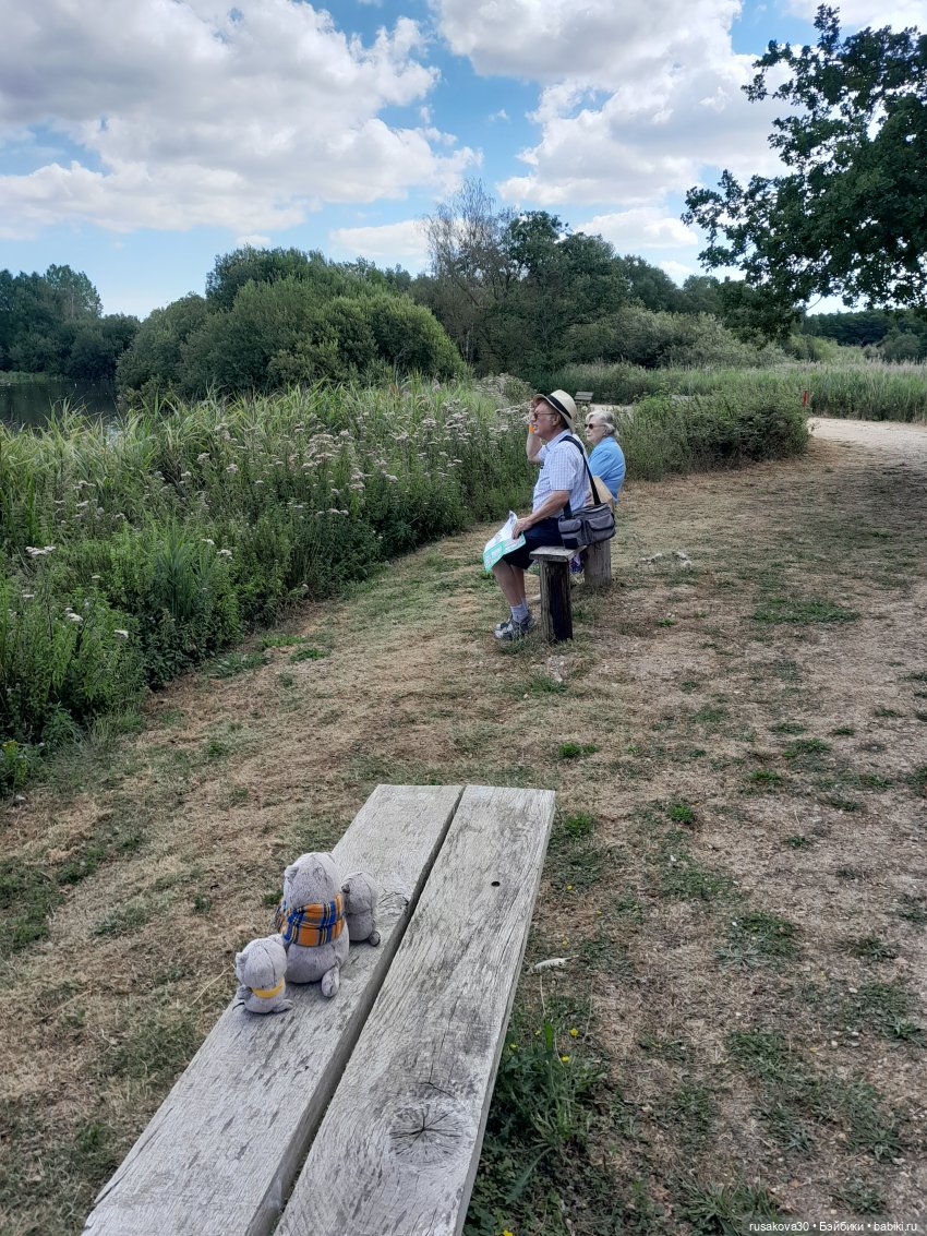 Как Басики по птичьему заповеднику гуляли