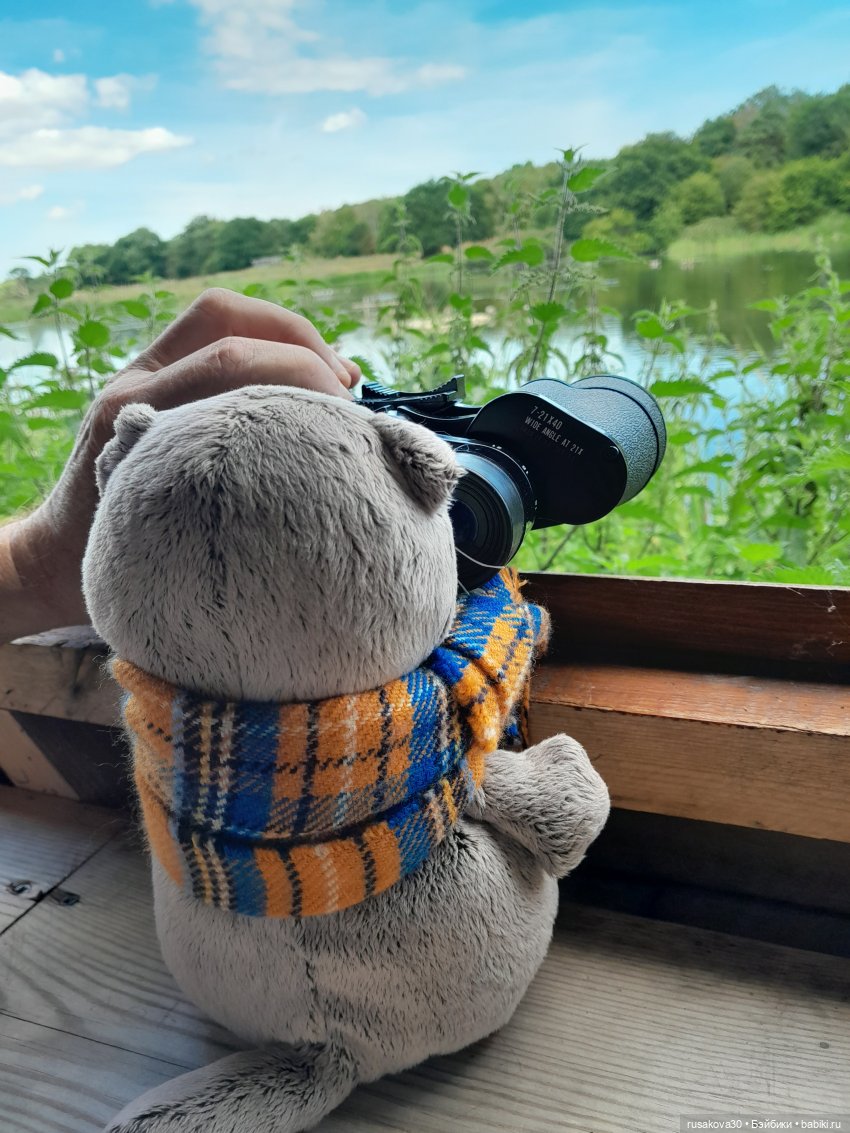 Как Басики по птичьему заповеднику гуляли