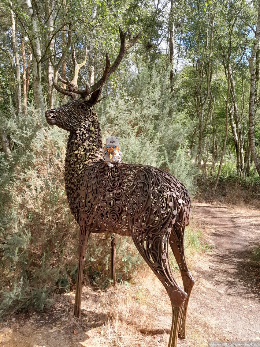 Как Басики по птичьему заповеднику гуляли
