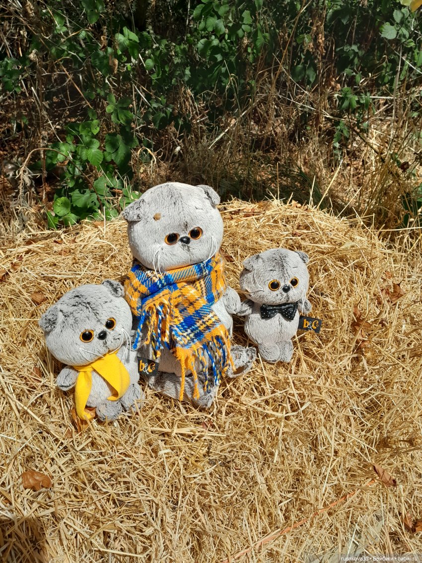 Как Басики по птичьему заповеднику гуляли