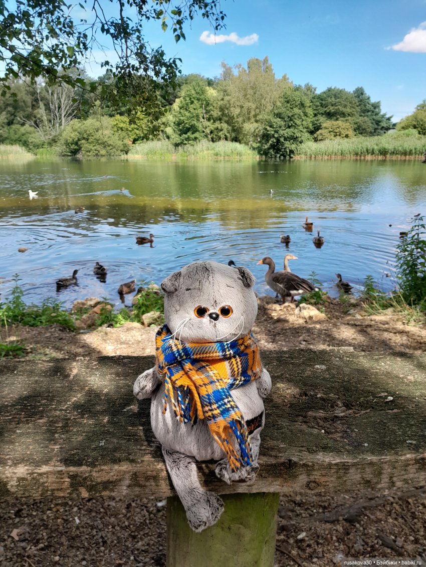 Как Басики по птичьему заповеднику гуляли