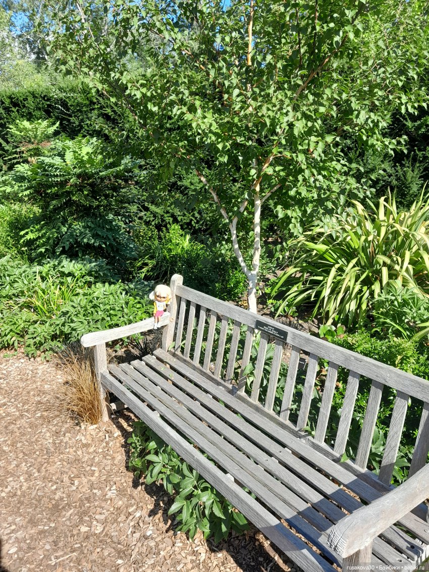 Людвиг, Нильсон и Нюша едут в Кембридж