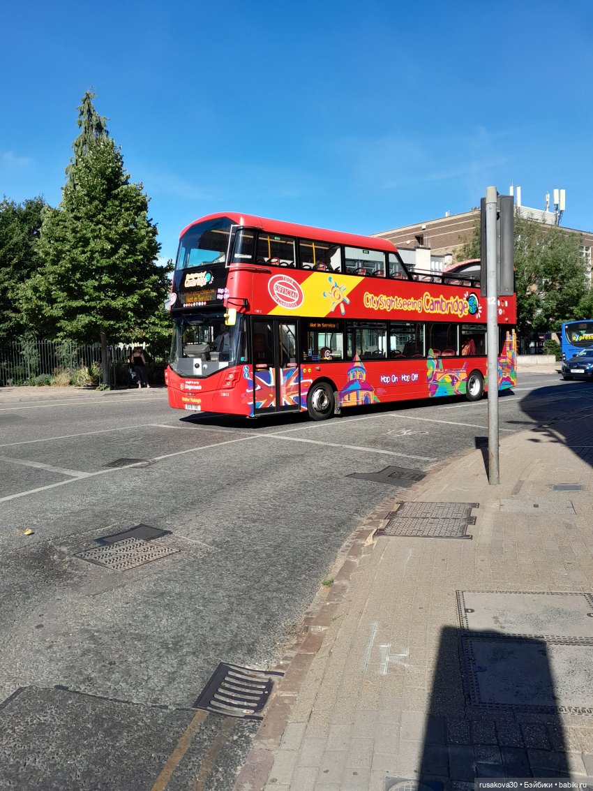 Людвиг, Нильсон и Нюша едут в Кембридж (фото 9)