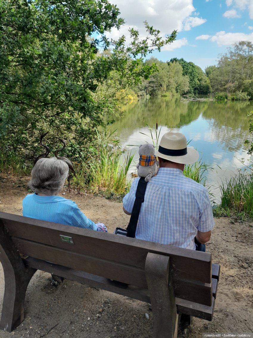 Как Басики по птичьему заповеднику гуляли