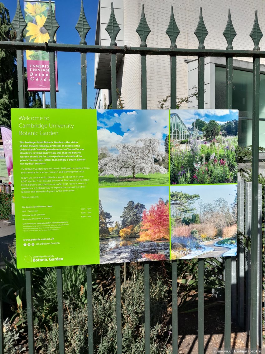 Людвиг, Нильсон и Нюша едут в Кембридж (фото 10)