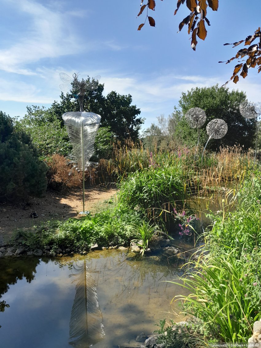 Как Басики по птичьему заповеднику гуляли