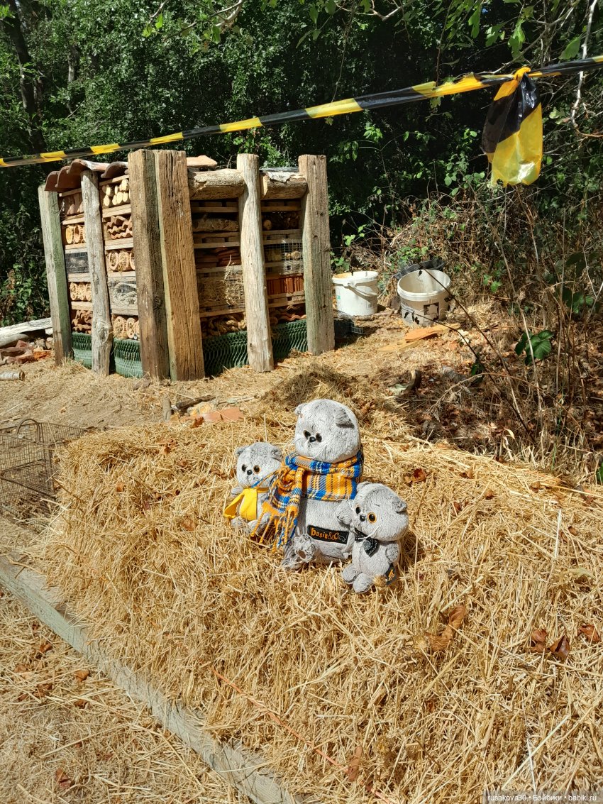 Как Басики по птичьему заповеднику гуляли