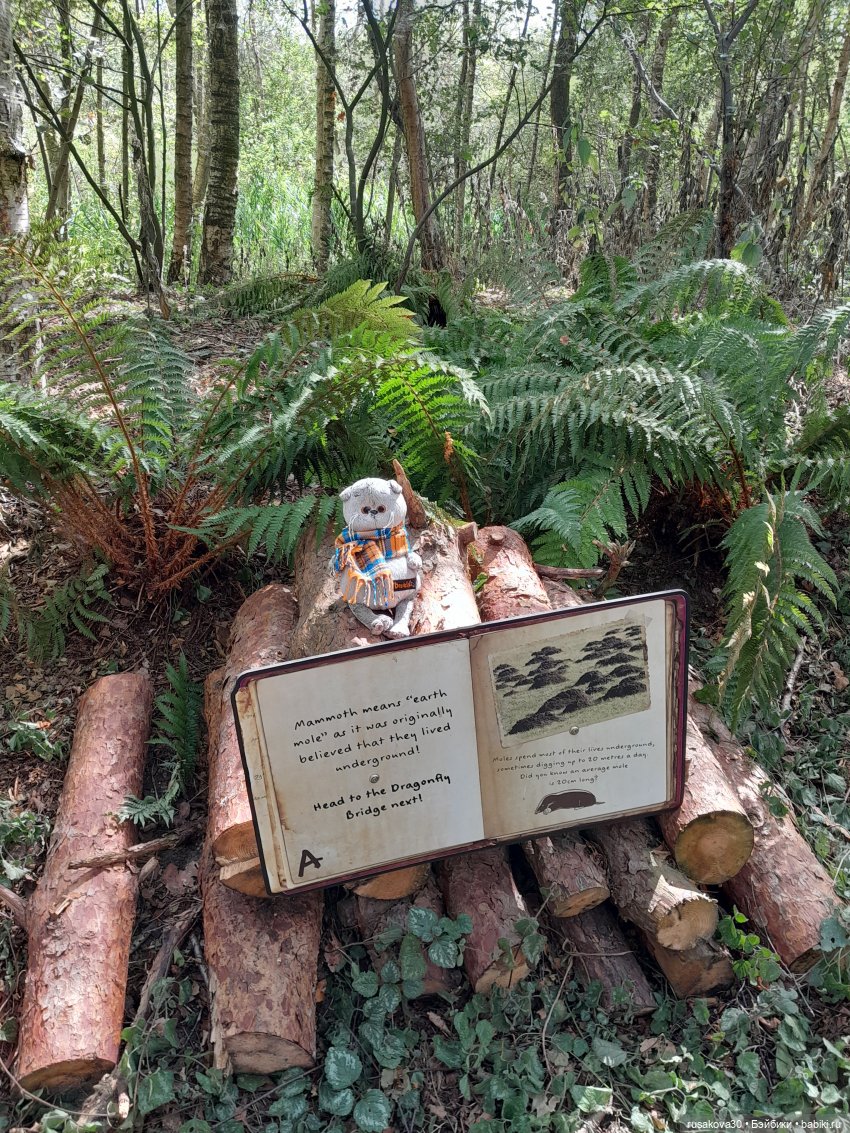 Как Басики по птичьему заповеднику гуляли