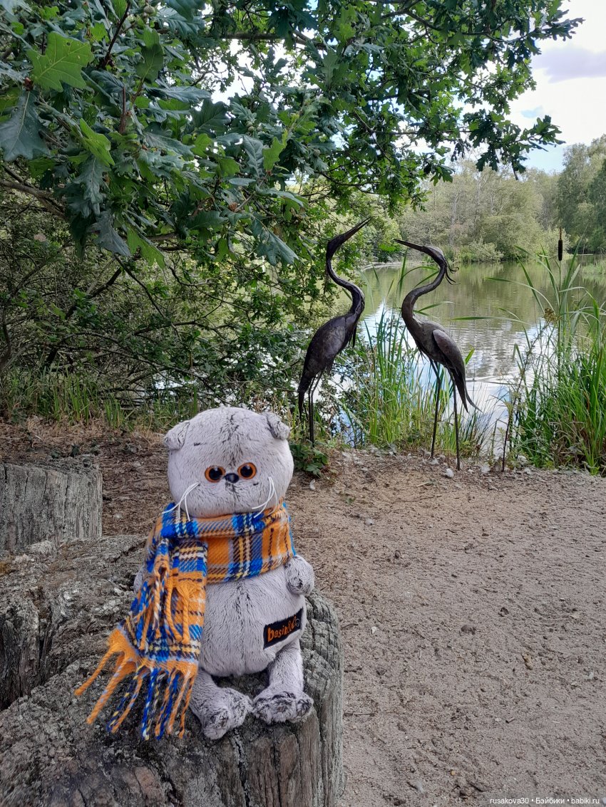 Как Басики по птичьему заповеднику гуляли