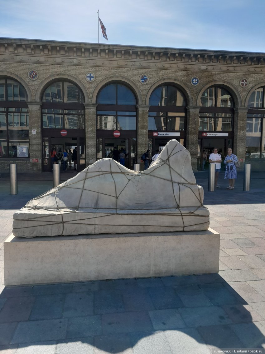 Людвиг, Нильсон и Нюша едут в Кембридж (фото 5)