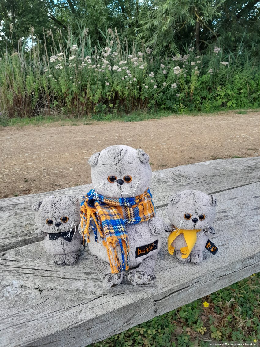 Как Басики по птичьему заповеднику гуляли