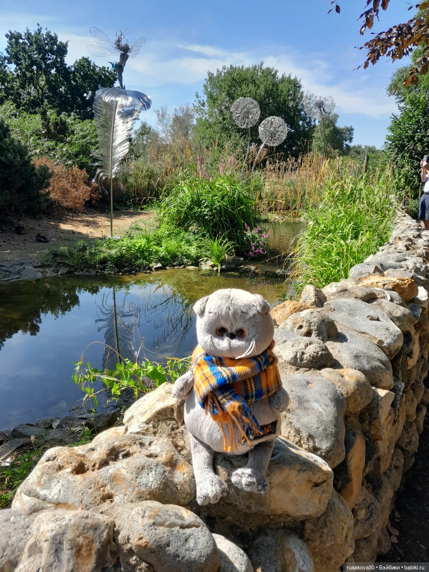 Как Басики по птичьему заповеднику гуляли