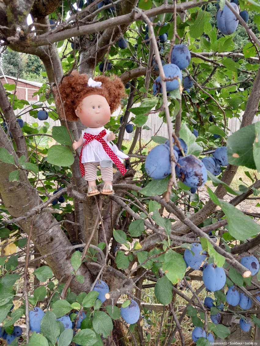 Сами садик мы садили... сами будем поливать (фото 7)