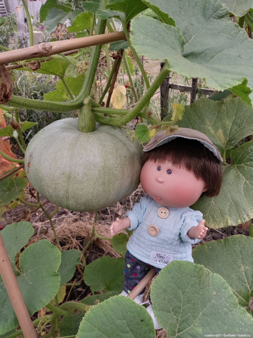 Сами садик мы садили... сами будем поливать (фото 4)