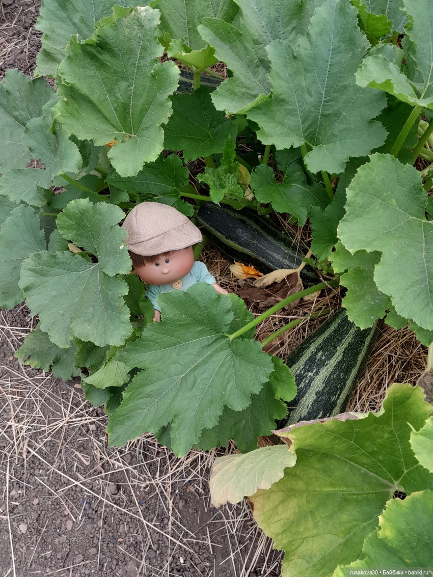 Сами садик мы садили... сами будем поливать (фото 5)