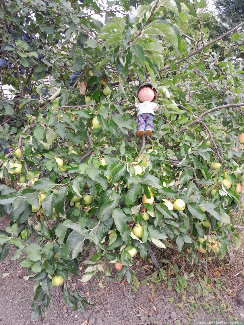 Сами садик мы садили... сами будем поливать