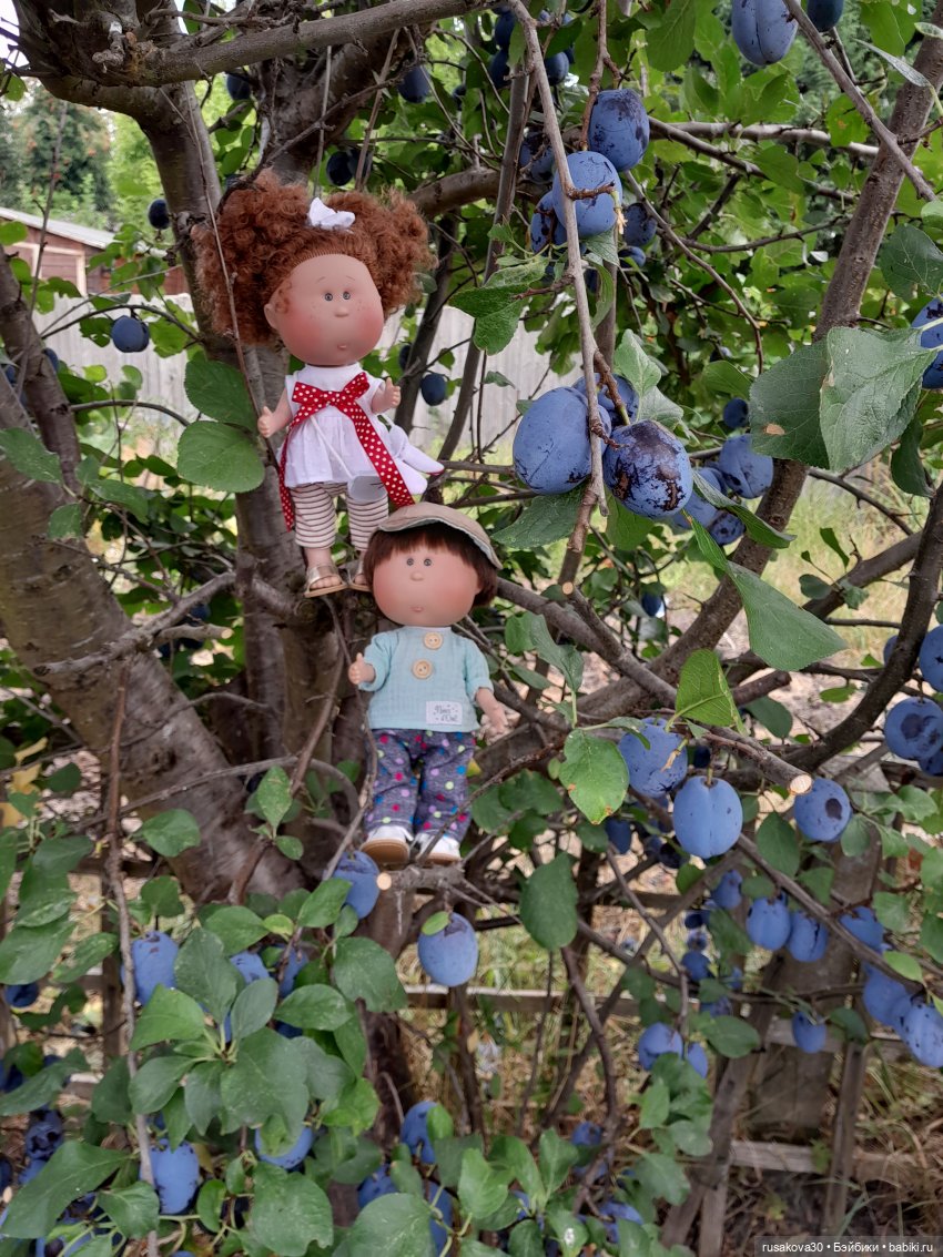 Сами садик мы садили... сами будем поливать (фото 8)