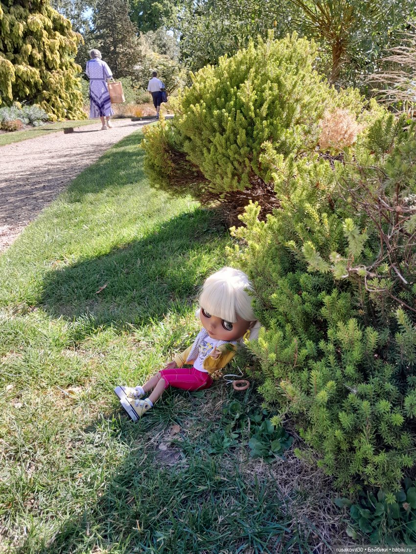 Людвиг, Нильсон и Нюша едут в Кембридж