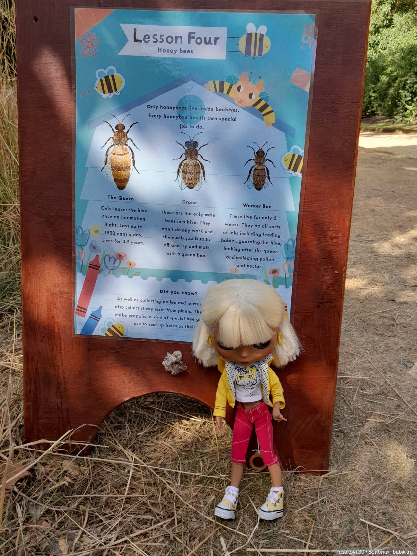 Людвиг, Нильсон и Нюша едут в Кембридж