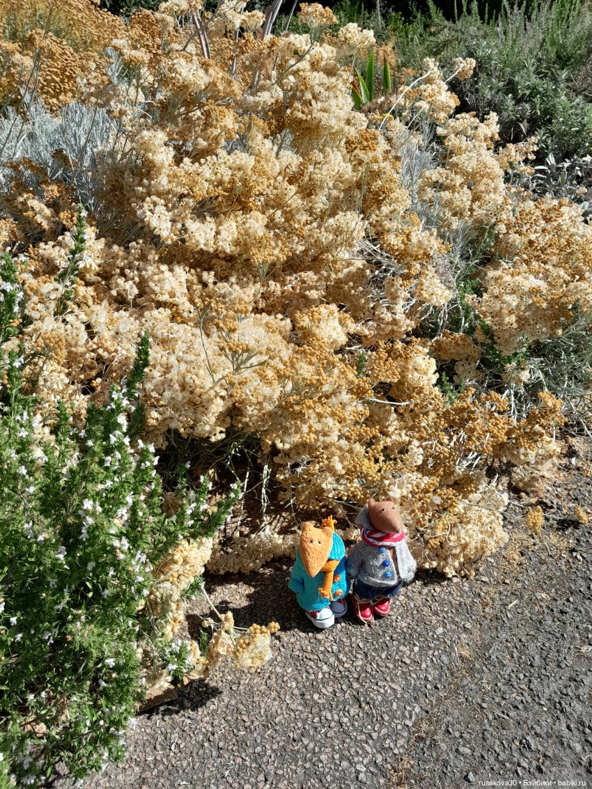 Людвиг, Нильсон и Нюша едут в Кембридж