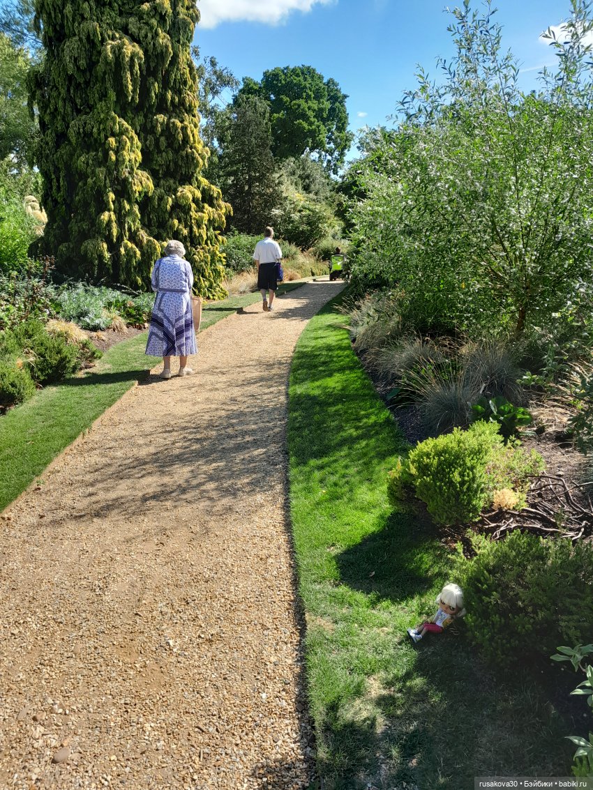 Людвиг, Нильсон и Нюша едут в Кембридж