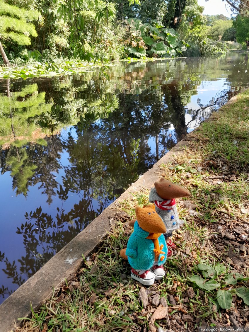 Людвиг, Нильсон и Нюша едут в Кембридж , продолжение прогулки (фото 3)