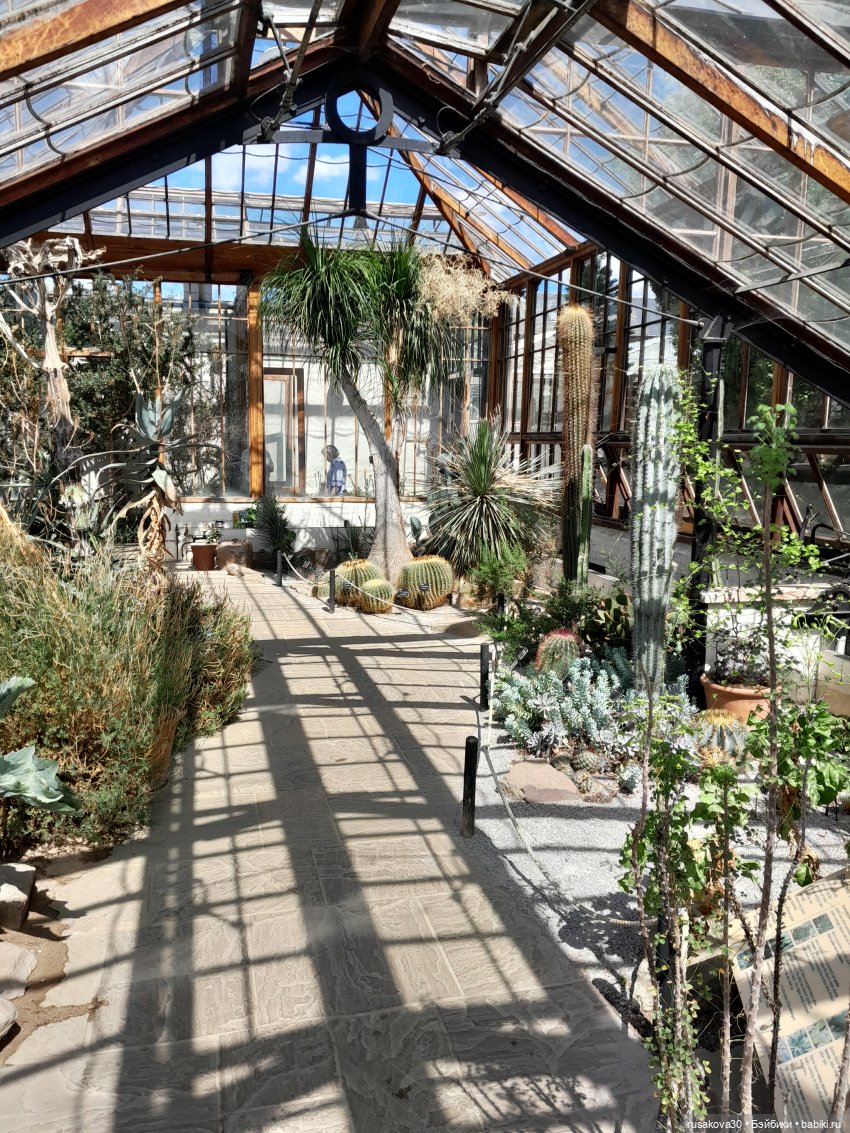 Людвиг, Нильсон и Нюша едут в Кембридж , продолжение прогулки (фото 8)