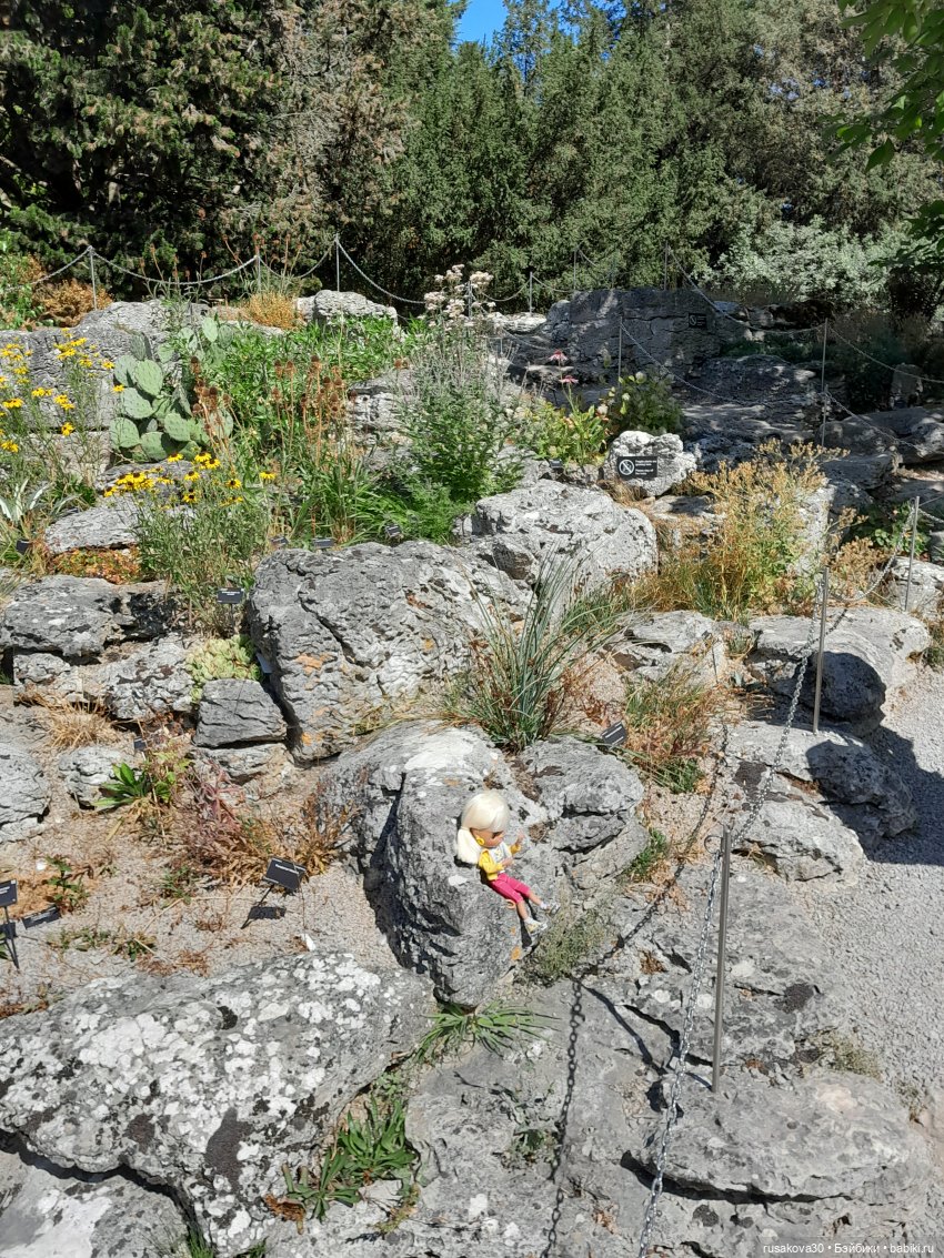 Людвиг, Нильсон и Нюша едут в Кембридж , продолжение прогулки (фото 5)